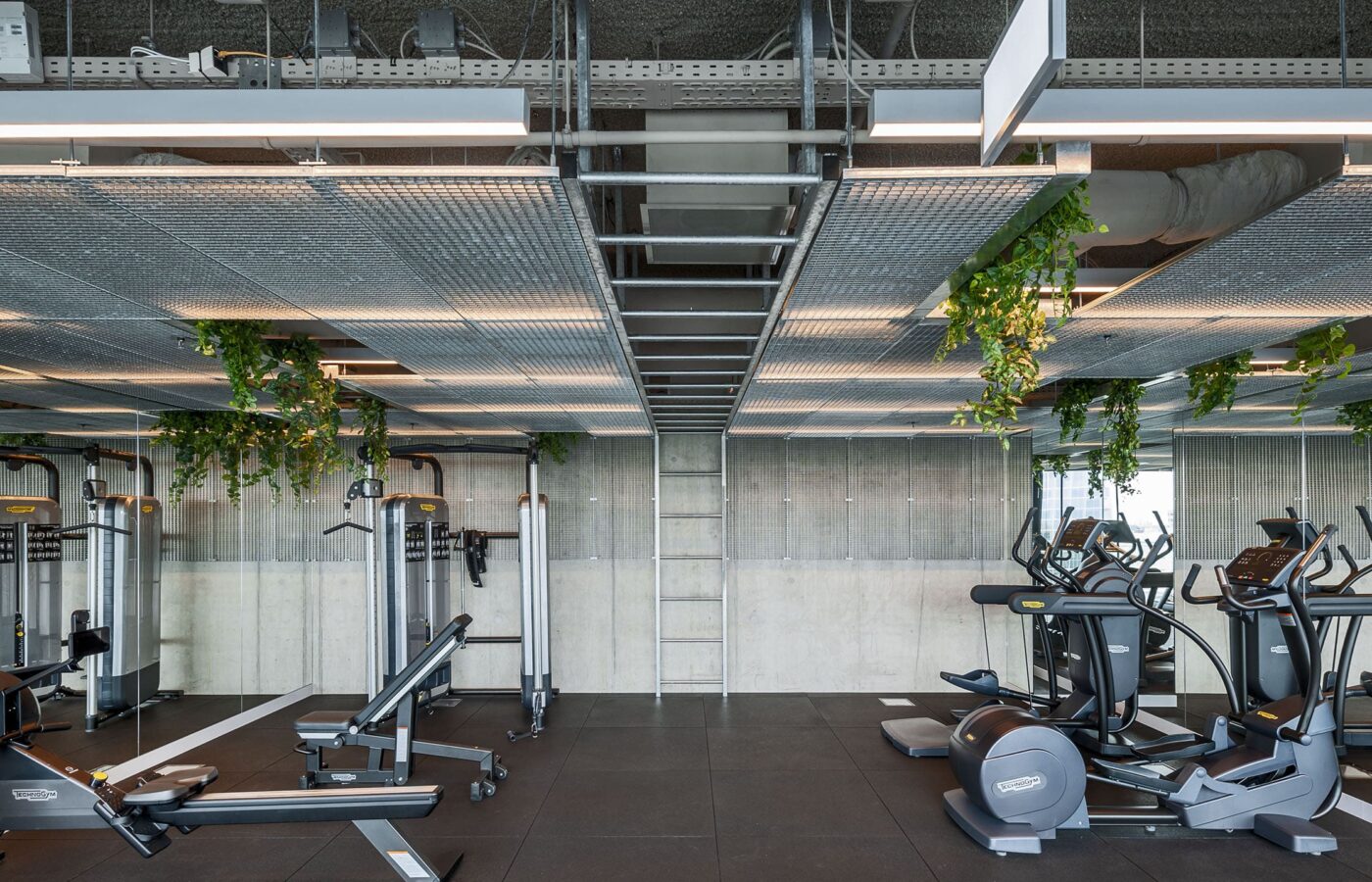 Verlichting Fitness