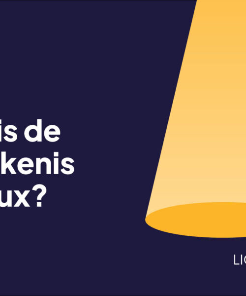 Wat Is De Betekenis Van Lux?